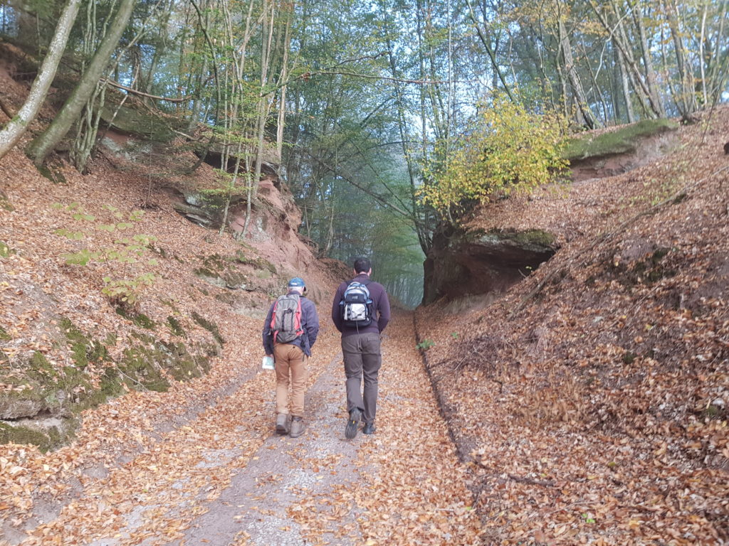 Samedi 20 octobre 2018, en lien avec le Service diocésain de la pastorale du tourisme, un petit groupe de personnes a participé à une journée découverte du patrimoine vert et du patrimoine religieux local à Sturzelbronn.